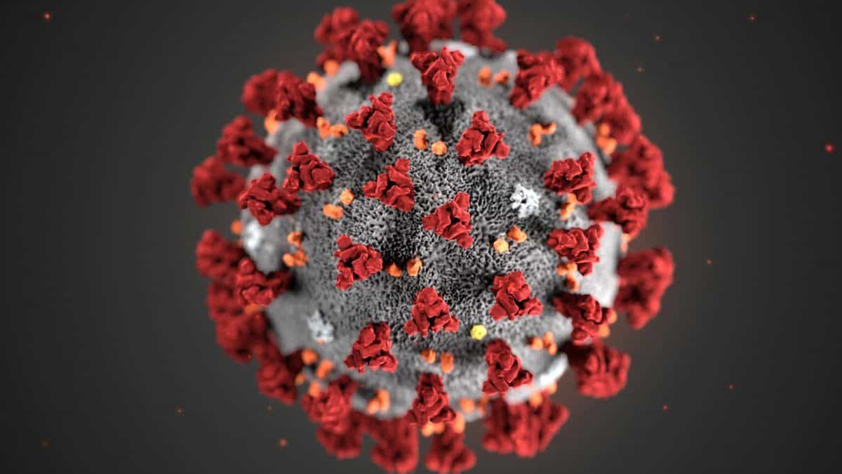 Notizie coronavirus